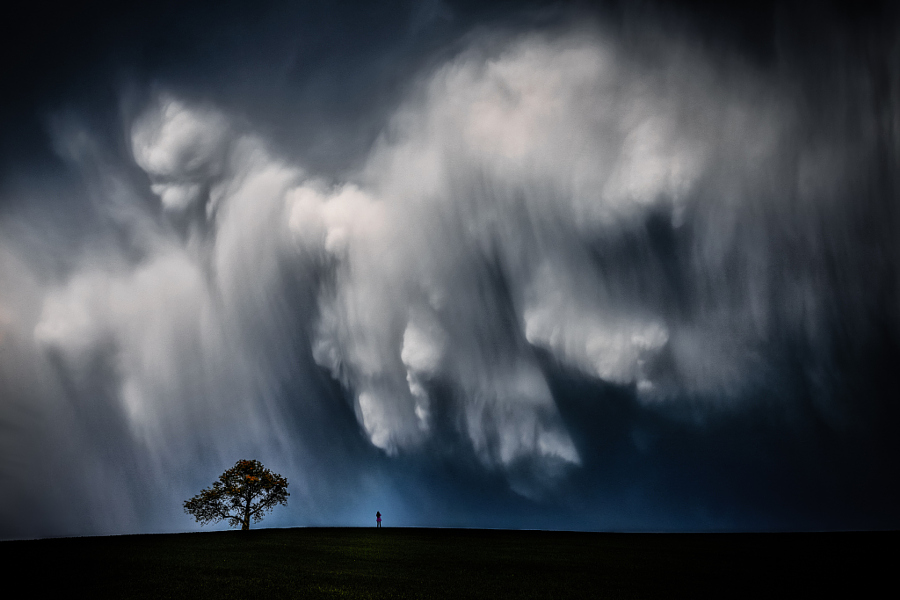 2015best_FineArt_007